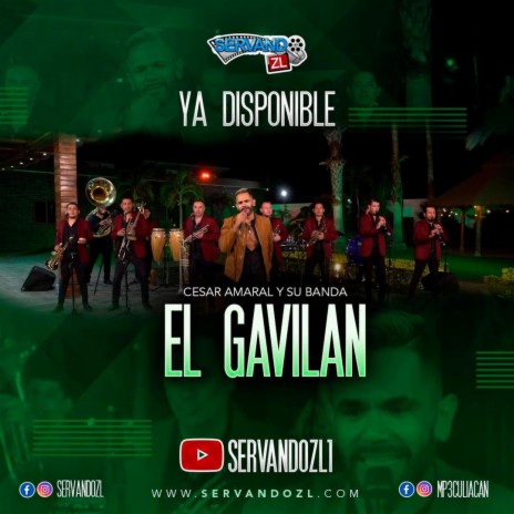 El Gavilan (Version Estudio) | Boomplay Music