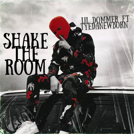 Shake the room remix ft. Tyegression