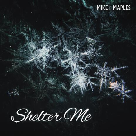 Shelter Me | Boomplay Music