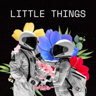 Little Things