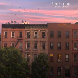 bird song