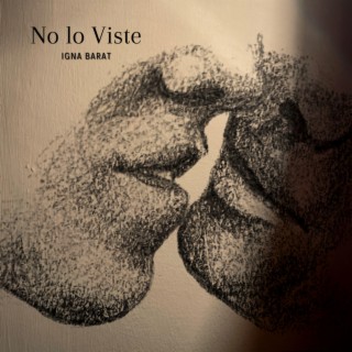 No lo viste