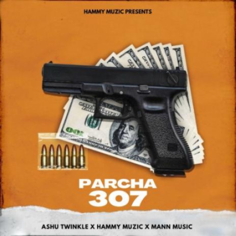 Parcha 307 | Boomplay Music