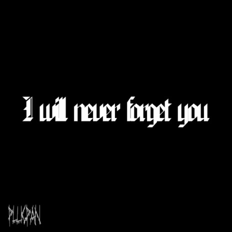 I Will Never Forget You | Boomplay Music