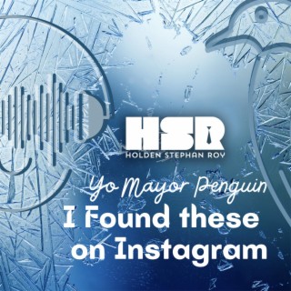 Yo Mayor Penguin I Found These On Instagram