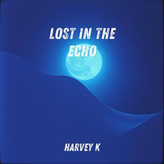 Lost in the Echo