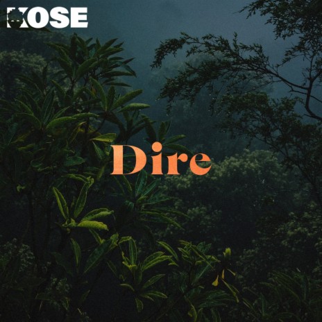 DIRE | Boomplay Music