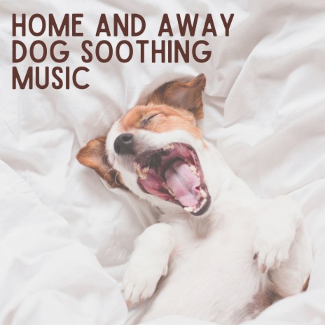 Home and Away Dog Soothing Music, Pt. 5 ft. Music For Dogs & Calming Music For Pets | Boomplay Music