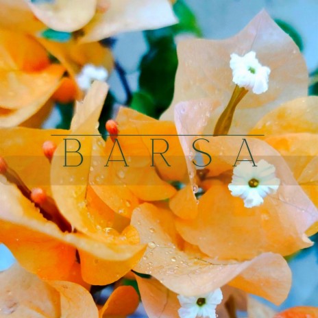 Barsa ft. Mai Farosh | Boomplay Music