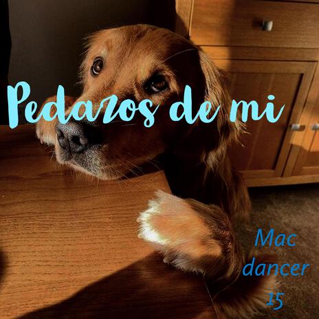 pedazos de mi | Boomplay Music