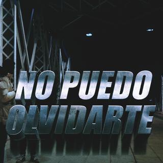 No Puedo Olvidarte