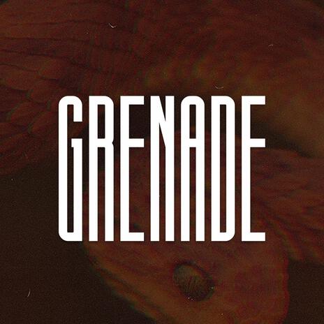 Grenade (Afrobeat Type Beat)