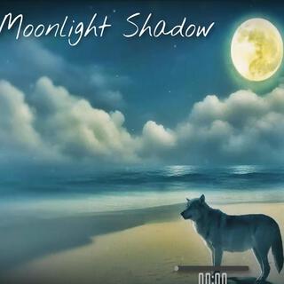 Moonlight shadow