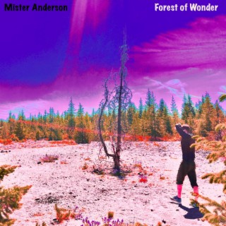 Forest of Wonder