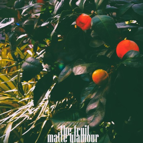 The Fruit | Boomplay Music