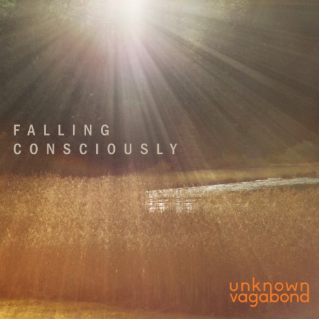 Falling Consciously | Boomplay Music