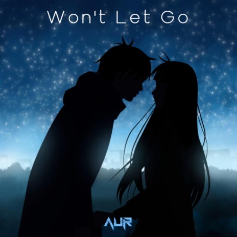 Won't Let Go | Boomplay Music