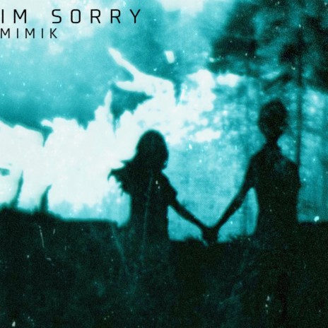 Im Sorry | Boomplay Music