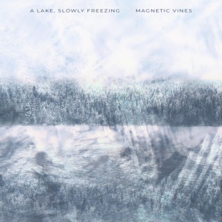 A Lake, Slowly Freezing