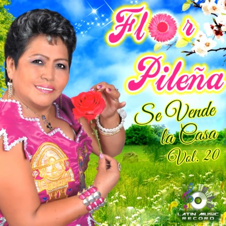 Pienso Buscarte | Boomplay Music