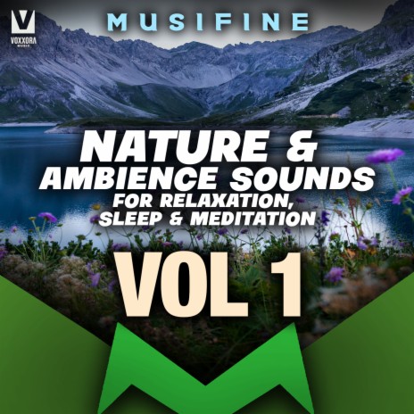 Forest Fire Sounds for Background (Nature & Ambience Sounds for Relaxation, Sleep & Meditation)