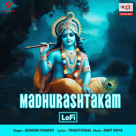 Madhurashtakam-Lofi | Boomplay Music