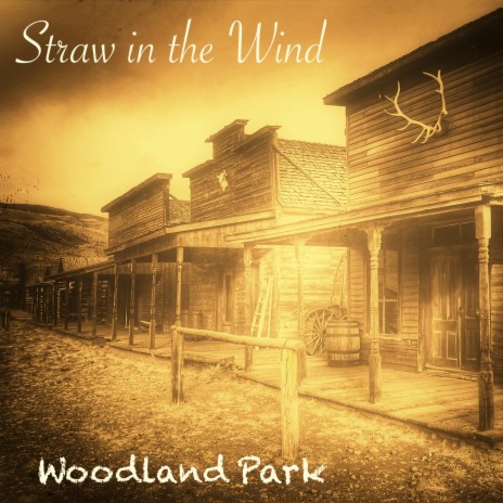 Straw in the Wind | Boomplay Music