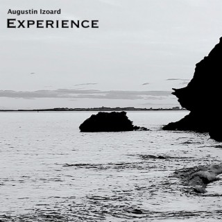 Experience