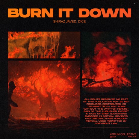 Burn It Down ft. D!CE | Boomplay Music