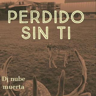 perdido sin ti