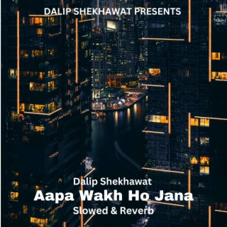 Aapa Wakh Ho Jana (Slowed & Reverb)