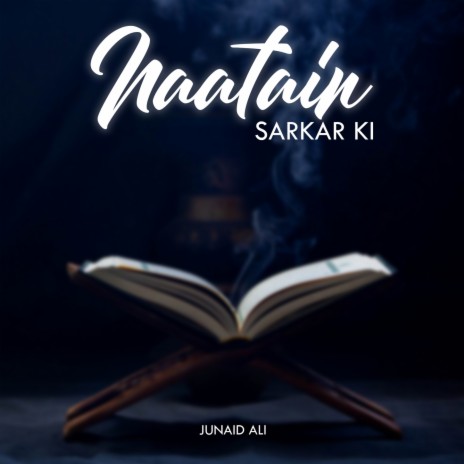 Naatain Sarkar Ki | Boomplay Music