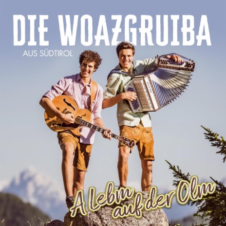 Woazgruiba Nocht | Boomplay Music