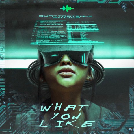What You Like ft. AntzoR | Boomplay Music