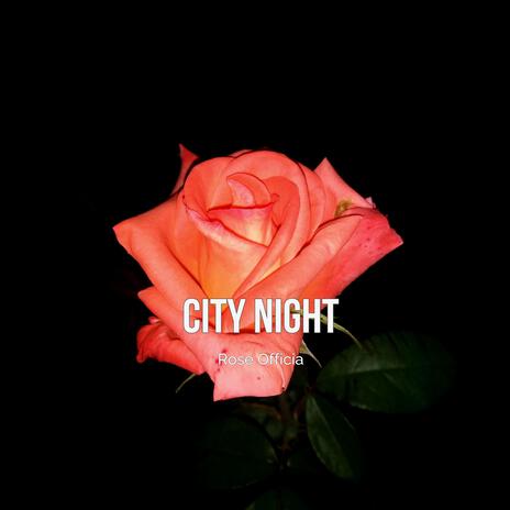 City Night (Rose Official) | Boomplay Music