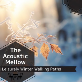 Leisurely Winter Walking Paths
