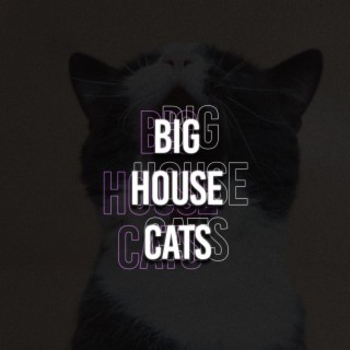 Big House Cats