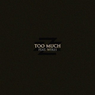 Too Much