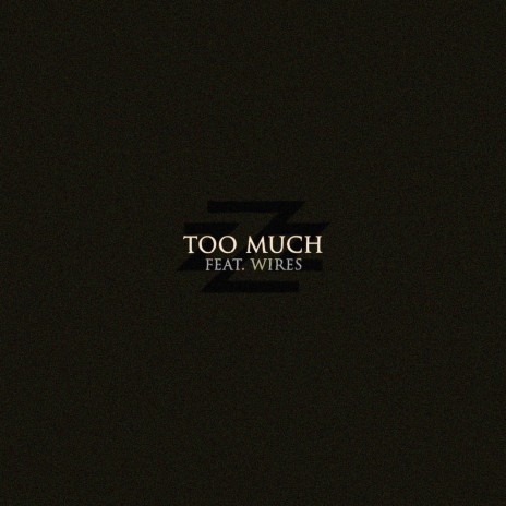 Too Much ft. Wires | Boomplay Music