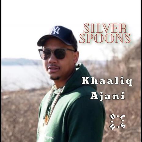 Silver Spoons | Boomplay Music