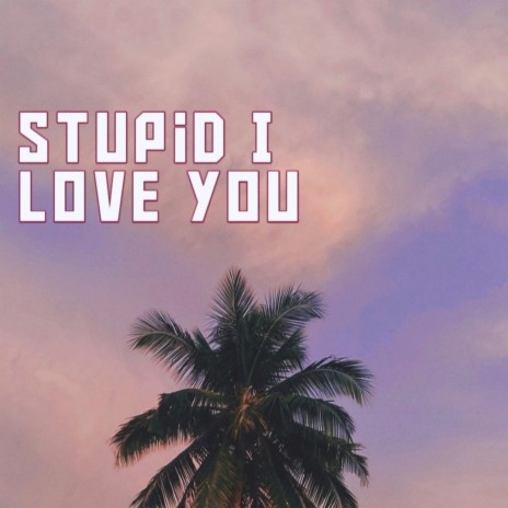 Stupid I Love You (Remix) | Boomplay Music