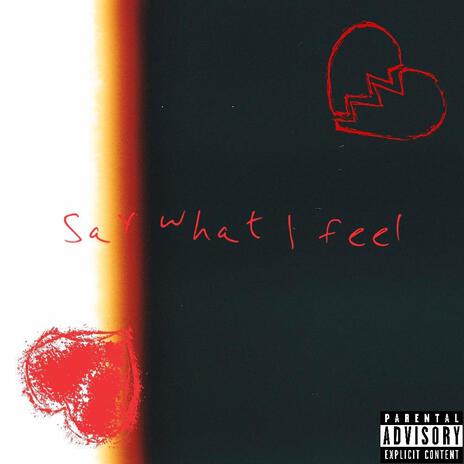 Say What I Feel | Boomplay Music