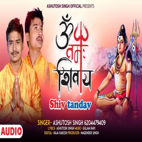 Om Namah Shivay Shiv Tadav (Bhojpuri Song) | Boomplay Music