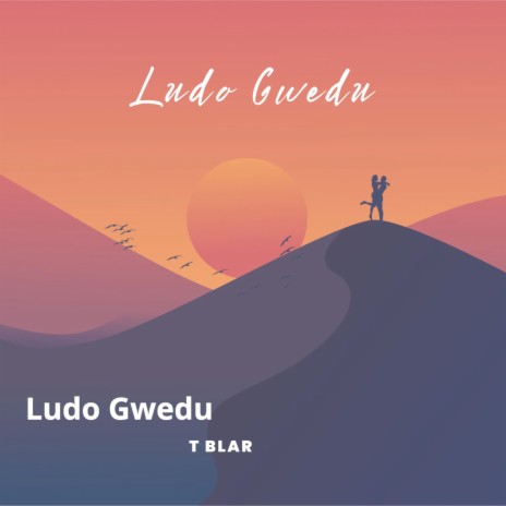 Ludo Gwedu | Boomplay Music