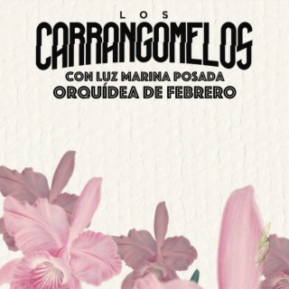 Orquídea de Febrero