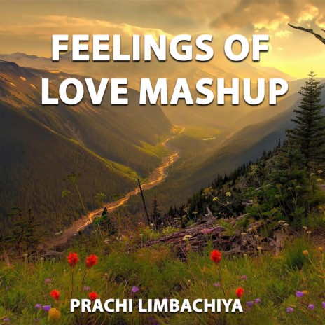 Feelings Of Love Mashup | Boomplay Music