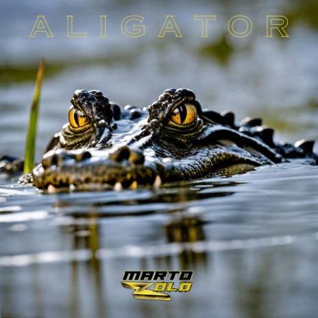 Aligator | Boomplay Music