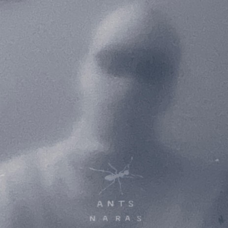 Ants | Boomplay Music