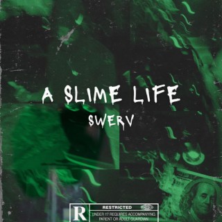 A Slime Life