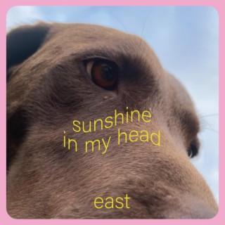 sunshine in my head